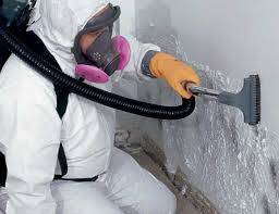 Best Residential Mold Inspection & Testing in Millen, GA